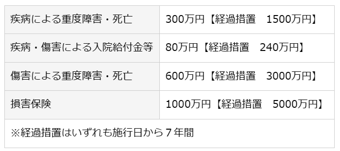 少額短期保険の保険金額